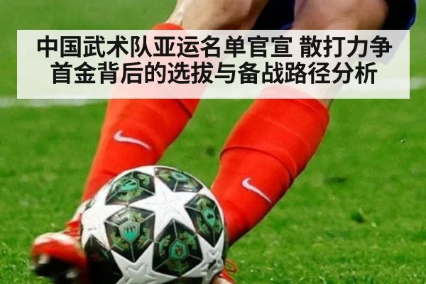 中国武术队亚运名单官宣 散打力争首金背后的选拔与备战路径分析
